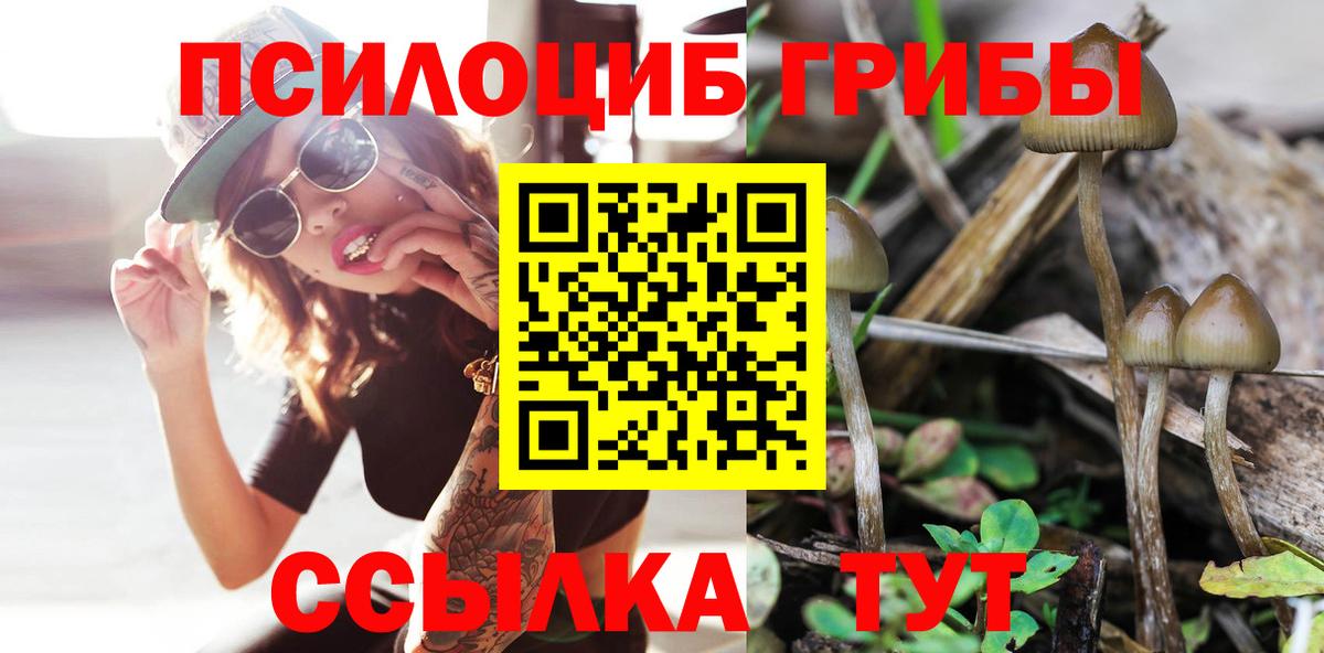 Псилоцибиновые грибы MAGIC MUSHROOMS  Вход с VPN  Владикавказ 